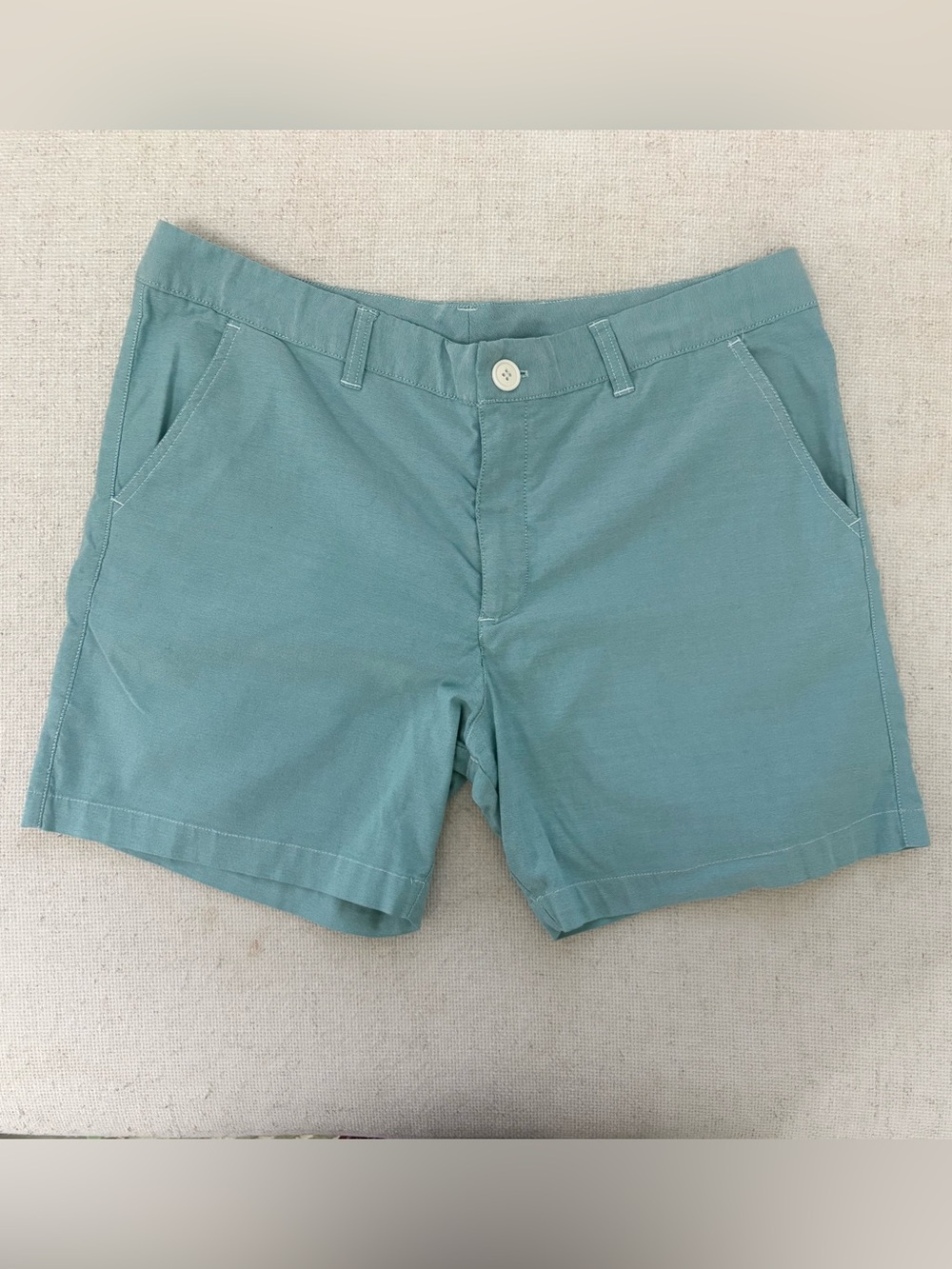 Chubbies 6” Shorts in Aqua Teal - Size 36